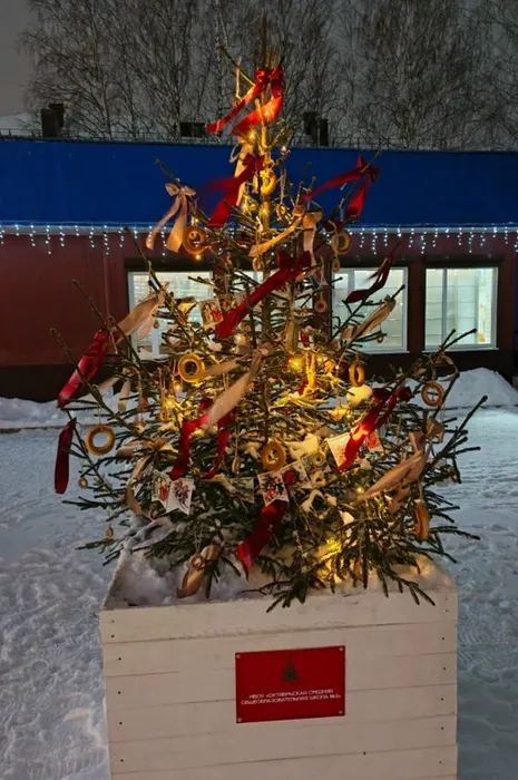 omKmNfk-cBXH61EN_Tu0r_wxM9k3H3MZyX_-C7JYxttTLeGwBlJWpC9x0CQD2SuPxvWzC5QrzxyvH3VdIbs3lFJK